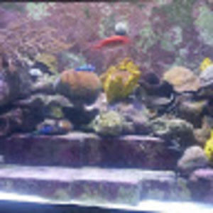 Meet your Posher, Sandra